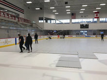 Load image into Gallery viewer, Large Ice Rink Floors